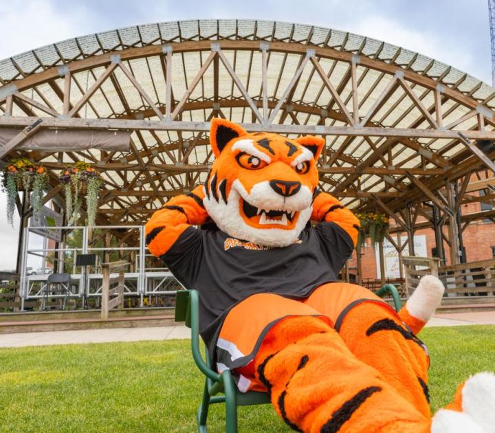 Benji Bengal sitting in a lawn chair in Larkin Square
